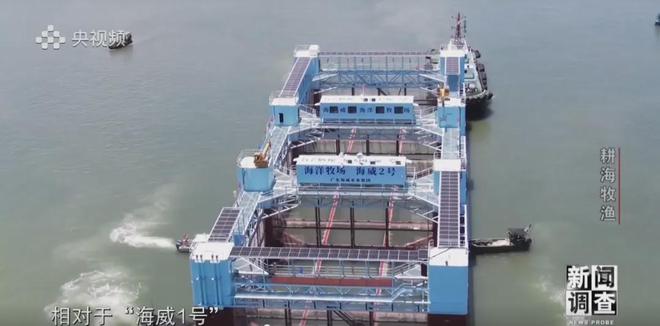 央視《新聞?wù){(diào)查》重磅聚焦，湛江水產(chǎn)養(yǎng)殖“游”向深遠海